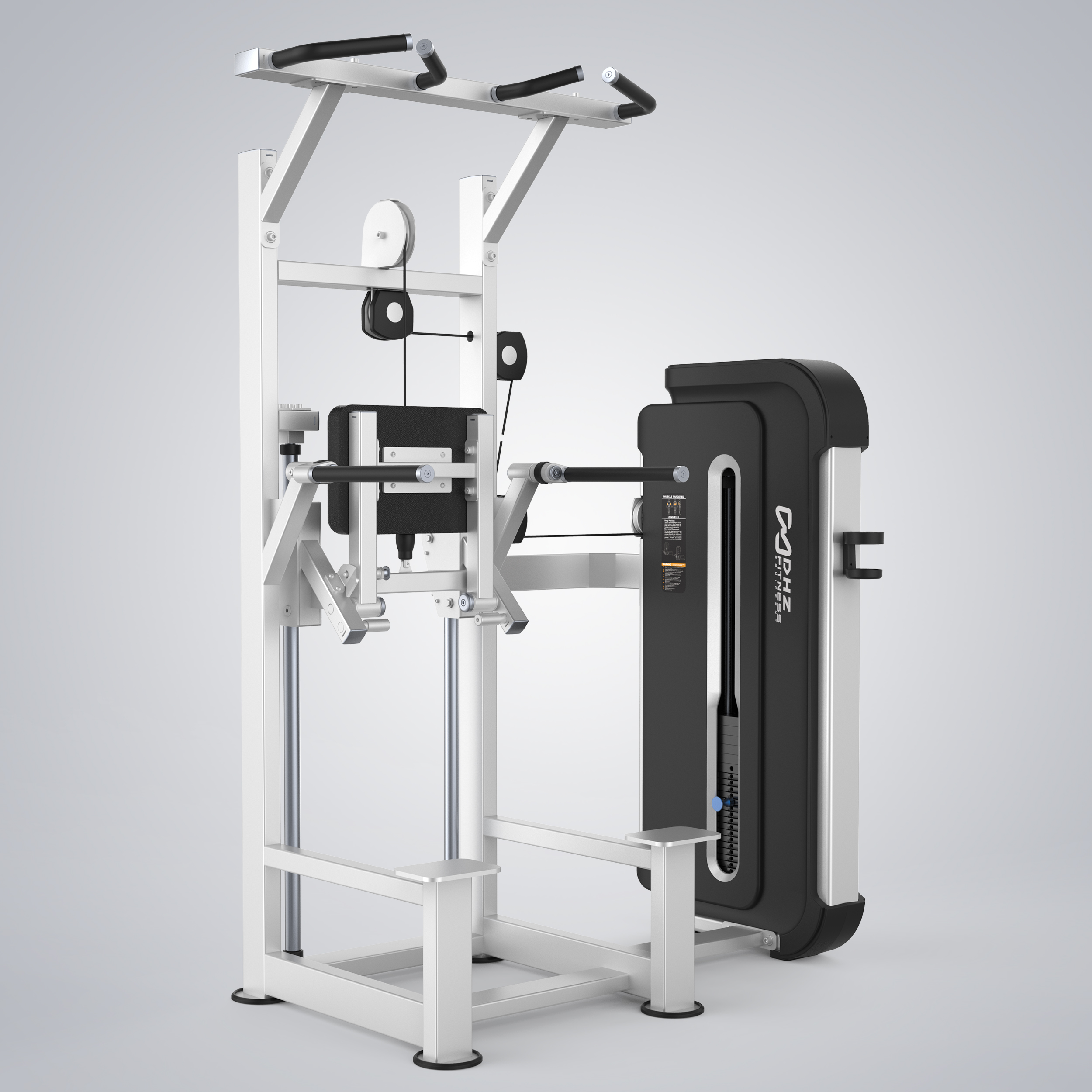 Dip Chin Assist H3009