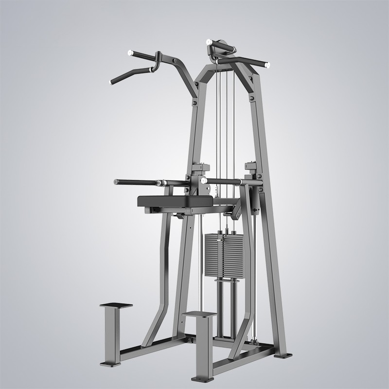 Dip Chin Assist J3009