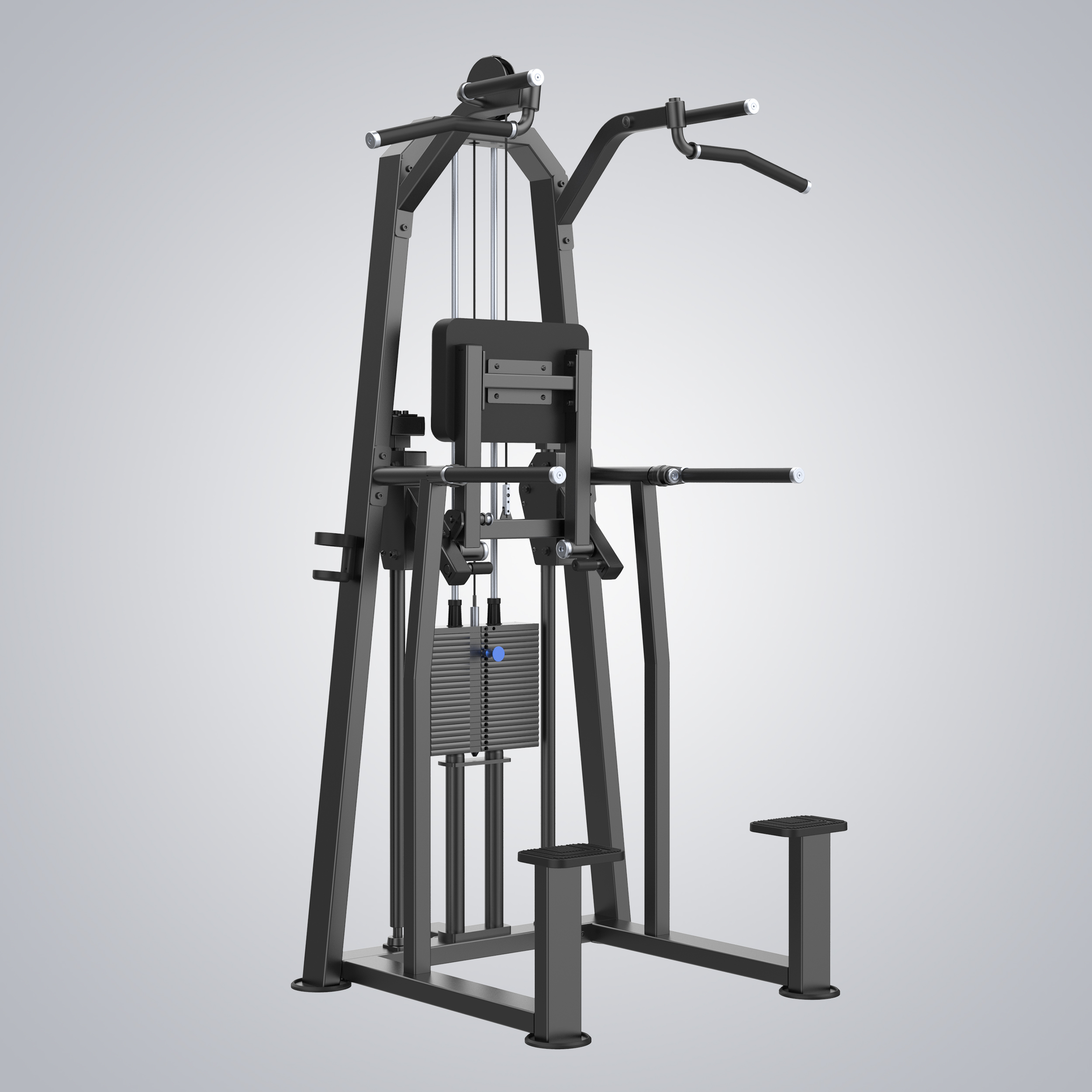 Dip Chin Assist U3009