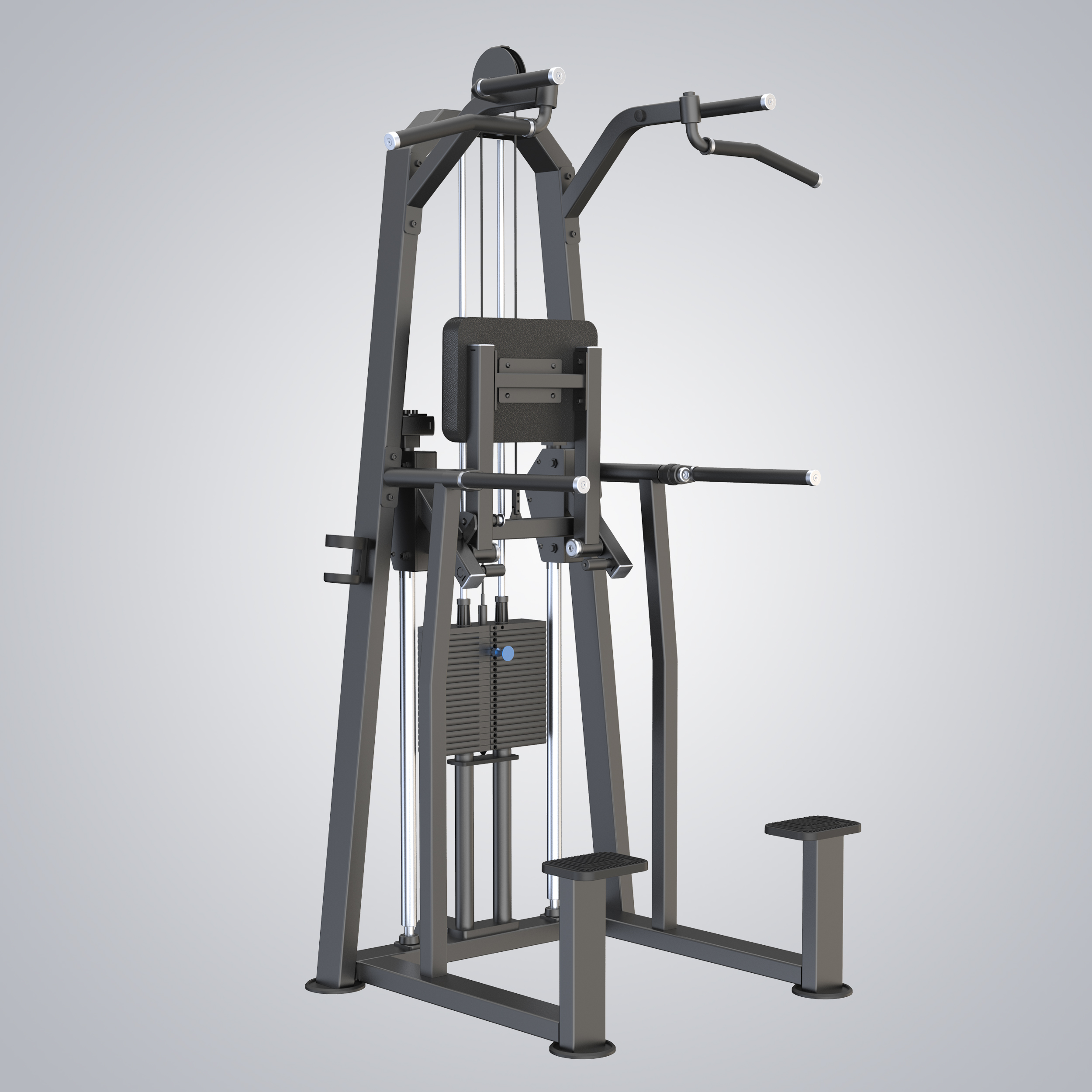 Dip Chin Assist U3009