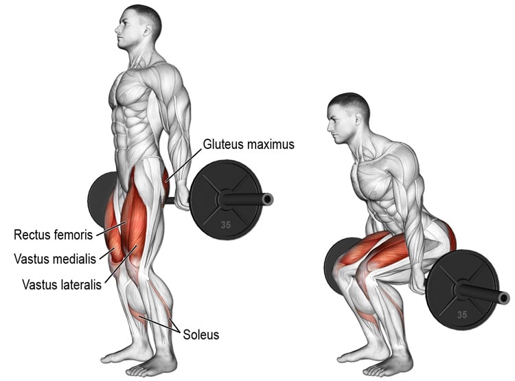 barbell-hack-squat